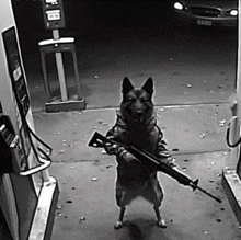 a dog is holding a gun in front of a gas pump