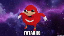 a cartoon of a red knuckles with a purple background that says ' natanko '