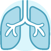 a drawing of a pair of lungs with a white outline