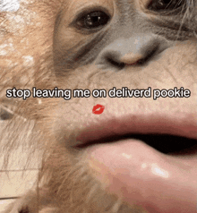 a close up of a monkey 's face with the words stop leaving me on deliverd pookie written above it