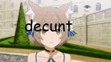 a picture of a girl with cat ears and the word decunt on it