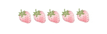 a row of pink strawberries on a white background .