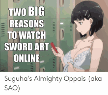 two big reasons to watch sword art online sugiha 's almighty oppais sao )