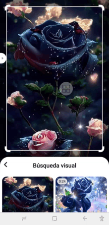 a screenshot of a app that says busqueda visual on it