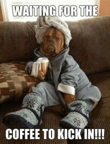 a dog is sitting on a couch holding a cup of coffee with the caption waiting for the coffee to kick in !!!