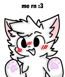 a drawing of a white cat with pink paws and the words `` me rn : 3 '' .