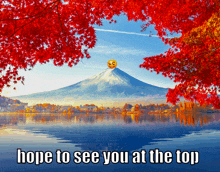 a picture of a mountain with a smiley face on top of it and the caption hope to see you at the top