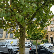 a white van that says s.r.c.a.c. on it is parked next to a tree