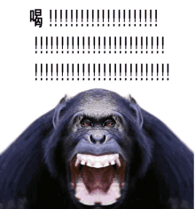 a picture of a monkey with its mouth open and chinese writing