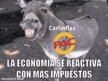 a donkey with the words carlinflas pac on it