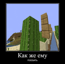 a poster with a picture of a cactus and the words " как же ему поебать " on the bottom