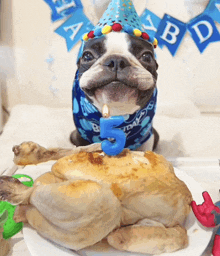 a dog wearing a birthday hat is laying on a plate of food with a candle that says 5 on it