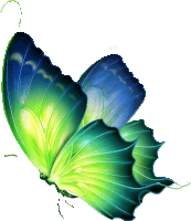 a green and blue butterfly is flying in the air