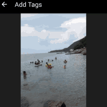 a screen shot of people swimming in the ocean with the words add tags visible