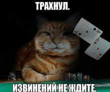 a cat holding a pair of aces in front of a poker table