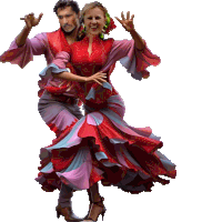 a man and a woman are dancing flamenco with a shadow behind them