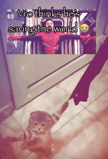 a picture of a cat next to a picture of a man in a spiderman suit