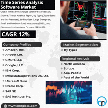 a flyer for the time series analysis software market