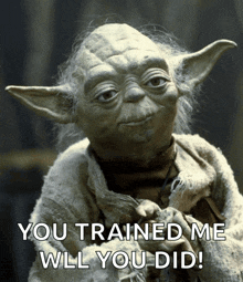 a picture of yoda from star wars with the caption you trained me will you did