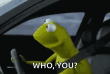 kermit the frog is driving a car and says who you ?