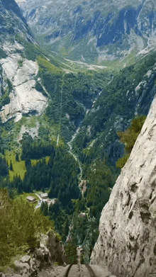 a view of a mountain valley with trees and mountains in the background