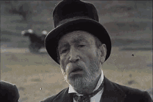 an elderly man with a beard and top hat is standing in a field .