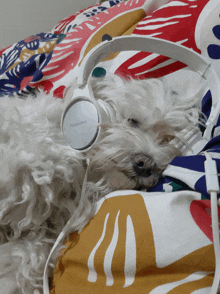 a white dog wearing a pair of white panasonic headphones