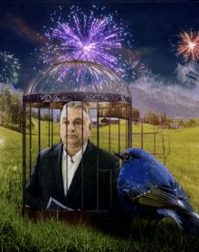 a man in a suit sits in a cage with a blue bird