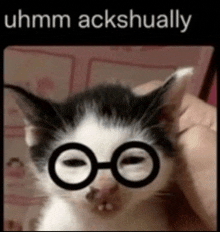 a black and white cat wearing glasses is being held by someone