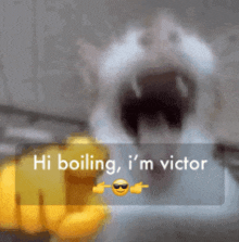 a cat is pointing at the camera with the words hi boiling i 'm victor above it