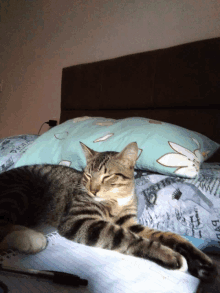 a cat laying on a bed next to a pillow that says paris on it