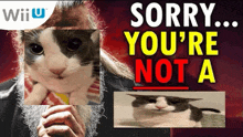 a sorry you 're not a sign with a cat