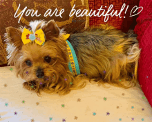 a yorkshire terrier wearing a yellow bow sits on a bed with the words " you are beautiful " written on the bottom