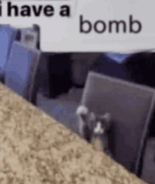 Cat With Hand Up Cat With Bomb Meme