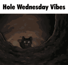 a cat is sticking its head out of a hole with the words hole wednesday vibes below it