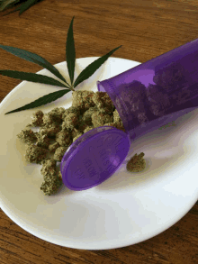 a white plate with a purple container of marijuana and a marijuana leaf on it