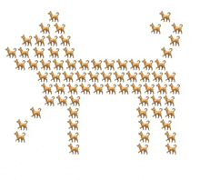 a bunch of small dogs are arranged in the shape of a dog