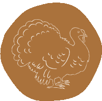 a drawing of a turkey with a brown circle around it