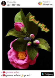 a picture of a pink flower with a good night message