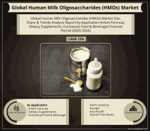 a flyer for the global human milk oligosaccharides ( hmos ) market