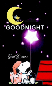 snoopy is sitting under a crescent moon holding a star and says goodnight sweet dreams .