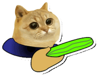 a cat is holding a green object in its paw