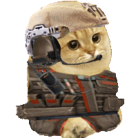 a cat wearing a helmet and goggles with a walkie talkie