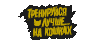 a black and yellow sign that says ' лучше на кошках '