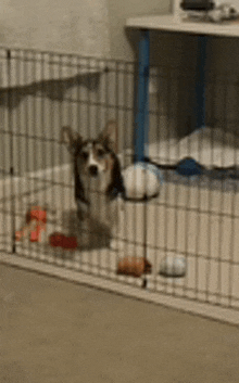 a dog is sitting in a cage looking out of it 's window .