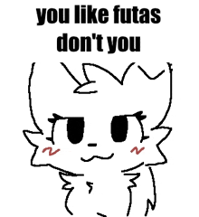 a drawing of a cat with the words `` you like futas don 't you ''