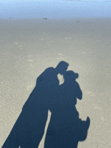 a shadow of a man and a woman kissing on a beach