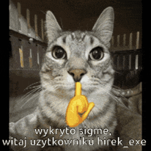 a cat with a yellow finger in its mouth and the words wykryto sigme on the bottom