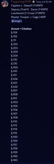 a list of arrests and citations is displayed on a computer screen