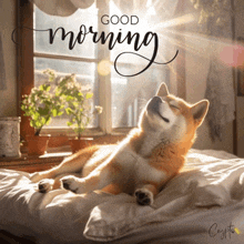 a picture of a dog laying on a bed with the words good morning above it